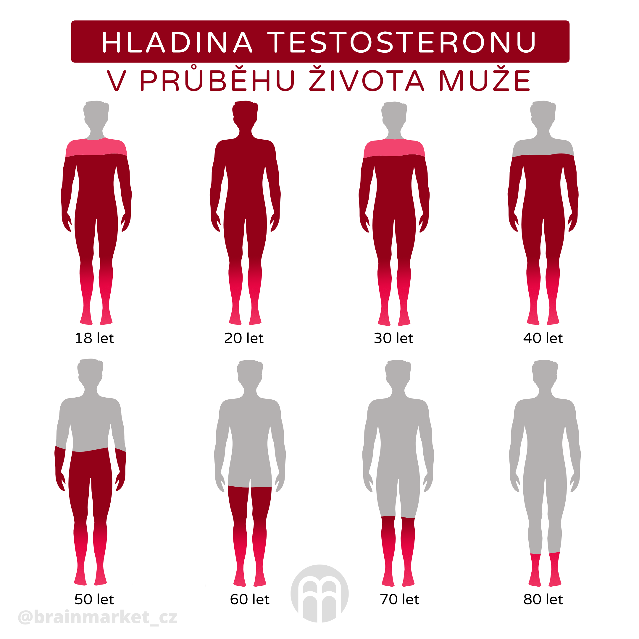 hladina testosteronu v prubehu zivota muže_infografika_cz (1)